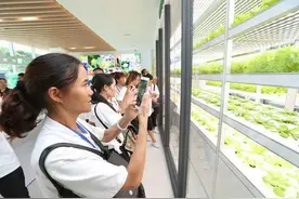 “爱飞翔·乡村教师培训”走进安利上海体验馆图片