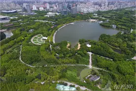 航拍“城市绿洲”上海世纪公园图片