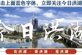关注！两个项目落户洪湖 总投资额超60亿元！图片