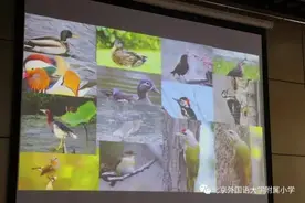 假日小队在行动——少先队暑期精彩活动展示图片