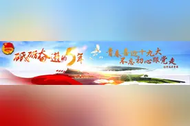 学习总书记指示，河南青年这样做图片
