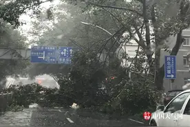 台风“天鸽”已在珠海南部沿海登陆  最大风力14级图片