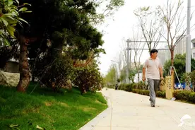 山师东路变形计丨绿植上新 花架连廊造型初成图片