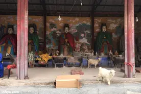 神仙被“承包”，奶奶庙养活了谁？图片