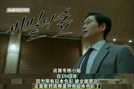 《冬柏小姐》：为了“抗倭”，韩国政府禁了这首歌曲图片