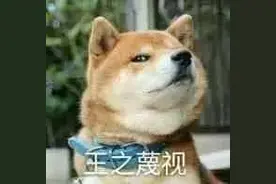 上海市妇联为你买单！ofo小黄车免费骑骑骑90天，全国通用，快抢！图片