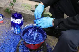 蓝色妖姬成“染色妖姬” 山寨鲜花遭花卉行业集体抵制图片