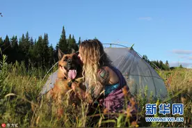美国：德牧爱跟女主人旅行 一人一狗浪漫游图片