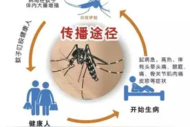 省疾控解读杭州登革热疫情：短期内病例数将进一步增多图片