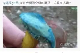 为啥马里奥要吃蘑菇才能长大？图片
