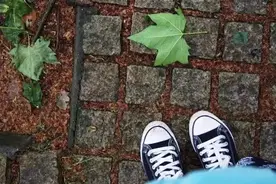 在郑州，有一种情结，叫法国梧桐图片