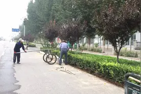谁是成安最美的人图片