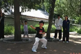 最小习武男孩仅4岁 崂山道教玄真内家拳拳术展演收官图片