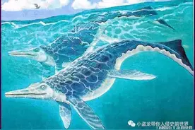 美国荒野的金矿之下竟然藏着史前海怪的坟墓图片