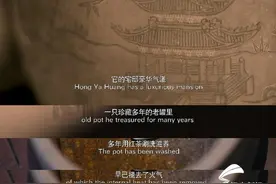 61秒丨吃海参鹿茸……蟋蟀“豪宅”里的生活你绝对想不到图片
