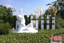 盐城建“护鹤女孩”徐秀娟纪念园 纪念中国首位环保烈士图片