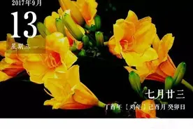 新手爸妈赶紧他 “糖爸”带你打开新世界图片