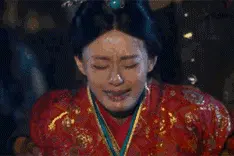 拒绝黑诊所！请收下闵行最全的宠物诊所（医院）名单！图片