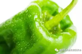 秋天来了就该多吃这个菜，不怕感冒，身体倍儿棒！图片