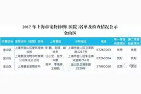 「盘点」沪上最新宠物诊所（医院），金山是这三家，看准喽！图片