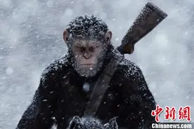 《猩球崛起3》中国11城提前观影 1440个特效占全片95%图片