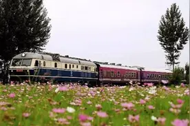 秦旅山海号观光火车可以乘坐啦！最新消息都在这……图片