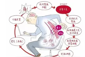 运动增加腰痛，还是预防腰痛？图片