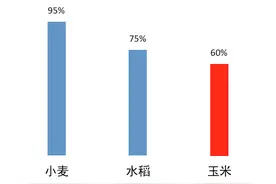 都说玉米收获机市场崩盘了，但为啥这类产品卖的很好？图片