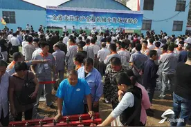厉害！​山东大蒜全面机械化种植 一台机器顶200个壮汉图片