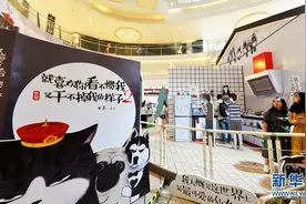 猫皇驾到 萌爆国庆图片