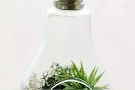 「环保DIY」废物利用！坏灯泡焕发新生命！图片