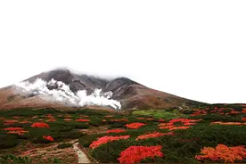 北海道之秋图片