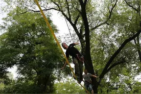 新乡原阳鹿岛房车露营地崭新迎游客图片