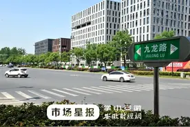 合肥九龙路（繁华大道——方兴大道）28日启动改造图片