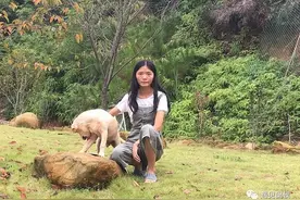 刚刚大学毕业的姑娘，经营了一家年入百万的民宿品牌图片