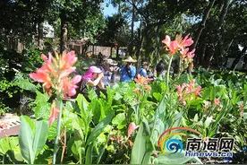 50位摄影“大咖”走进三亚海棠区 开启寻美之旅图片