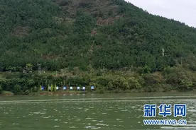 重庆“天保工程”二十载：绿水青山就是金山银山图片