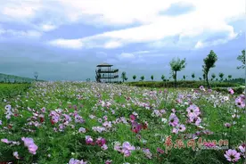 青岛又添三家国家3A级景区 风景美如画图片