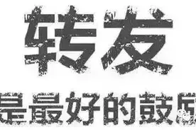 湖北襄阳警方破获的跨国系列电信网络诈骗案图片