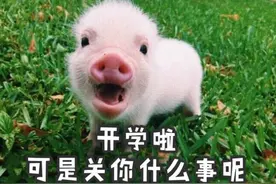 小时候最丧的事就是用着0.5的自动铅笔，却买了0.7的笔芯图片