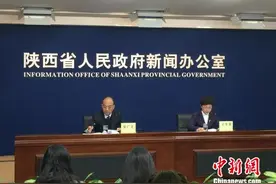 陕西战略性新兴产业“勃兴” 增加值占GDP一成图片