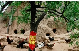 小时候农村家家都会有的鸡窝，最后一种难度太高！图片