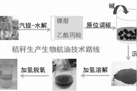 转化亮点丨秸秆制生物航空燃油千吨级中试项目开工奠基图片