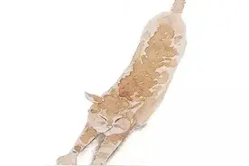 全民健身日丨 看德阳风采 展城市魅力图片