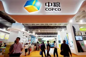 中粮国际：出售尼德拉种子业务给先正达，聚焦粮油糖核心主业图片