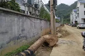 他们，让荒凉村落变成美丽园区！图片