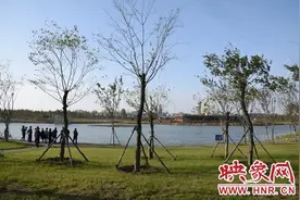 汝州：挖潜空间 “腾笼换鸟”建设宜居城市图片