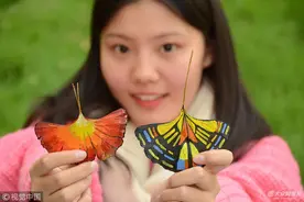 山东聊城：大学生银杏叶上绘画蝴蝶 栩栩如生图片