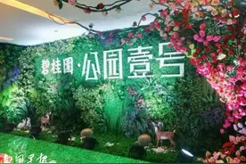 “提升江南，重点向南”！可以预见的南宁新机遇，在这里！图片
