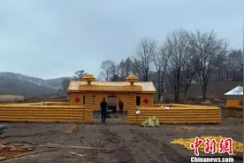吉林农民2万个玉米盖“黄金屋” 用流浪猫“站岗”图片